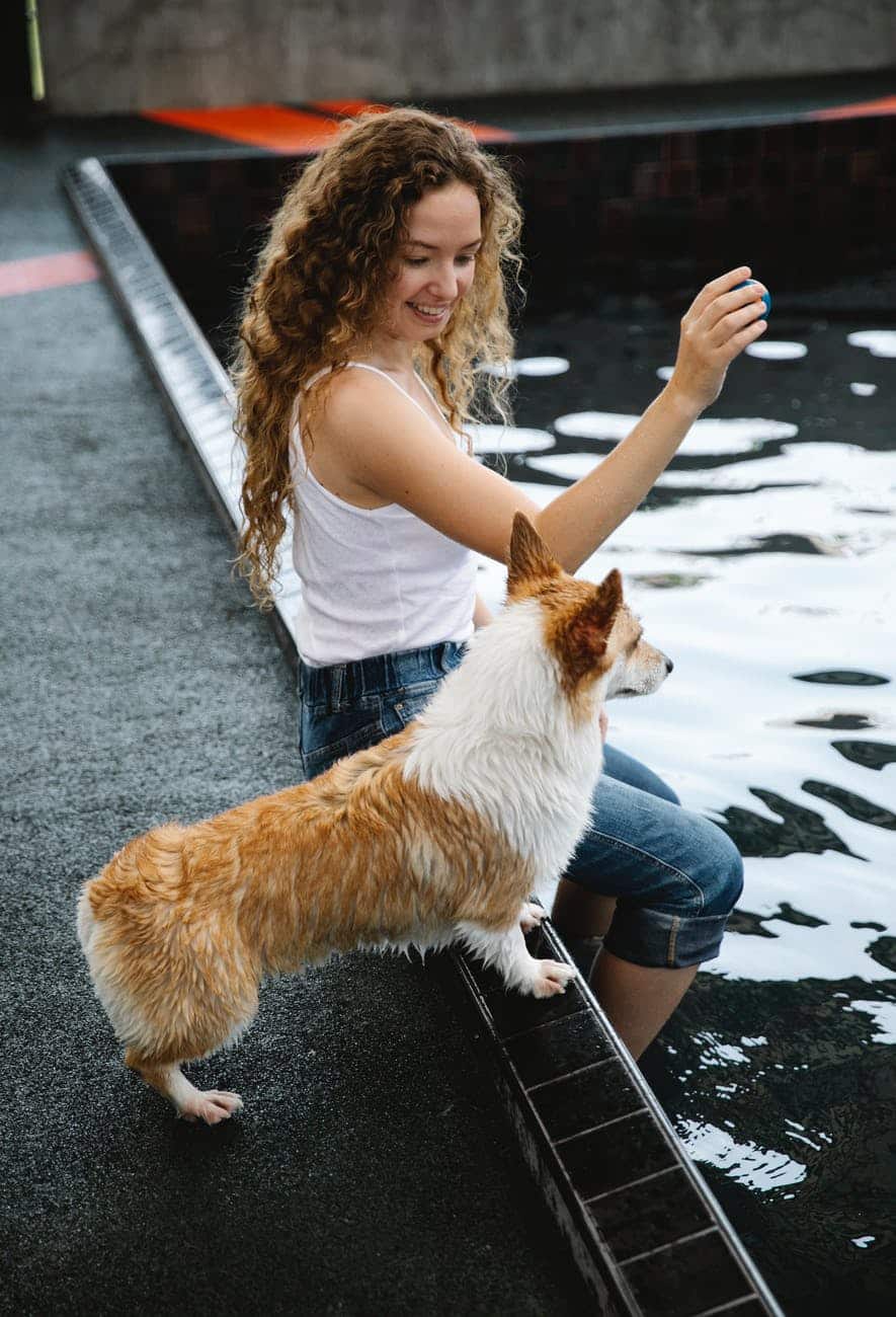 content woman playing with welsh corgi on poolside