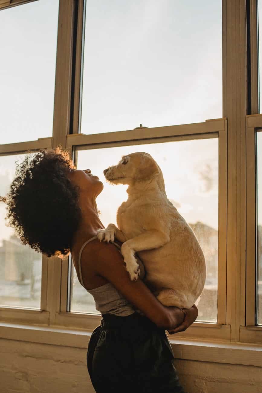 black woman with dog near window defining her values and how she spends her time